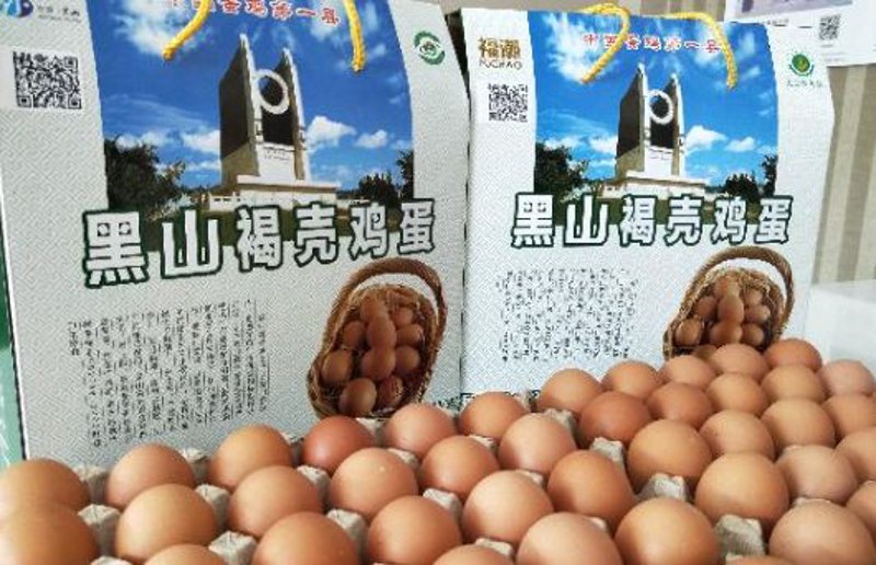 鸡蛋交易市场的风云变幻与发展趋势