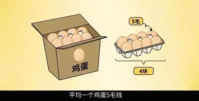 鸡蛋信息查询:解锁营养宝藏的秘密通道
