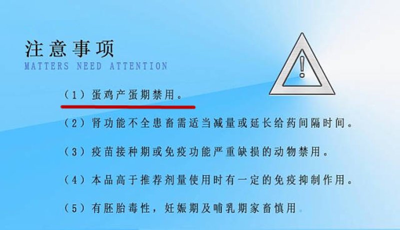 鸡蛋信息平台:引领农业信息化新趋势